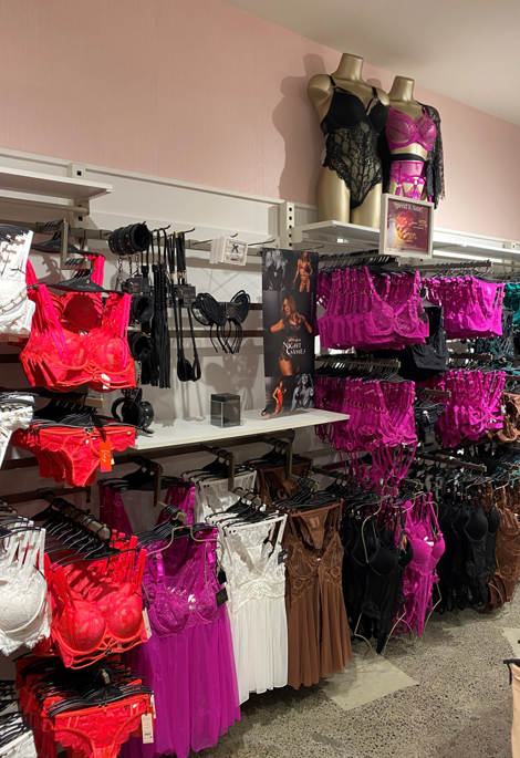 Welcome Busted Bra Shop! — Lakeview Roscoe Village Chamber of Commerce