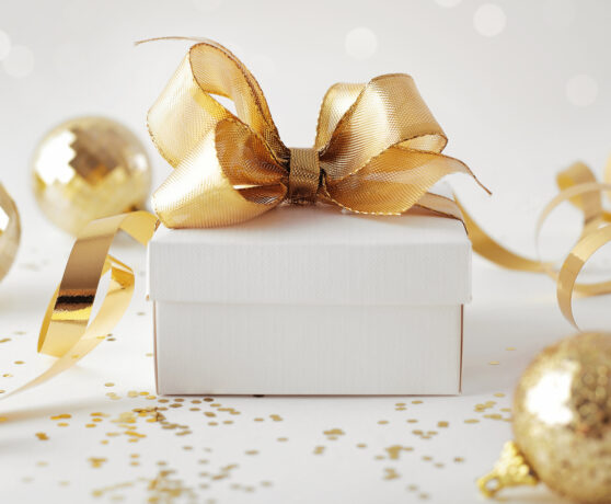 The 2025 Christmas Gift Guide